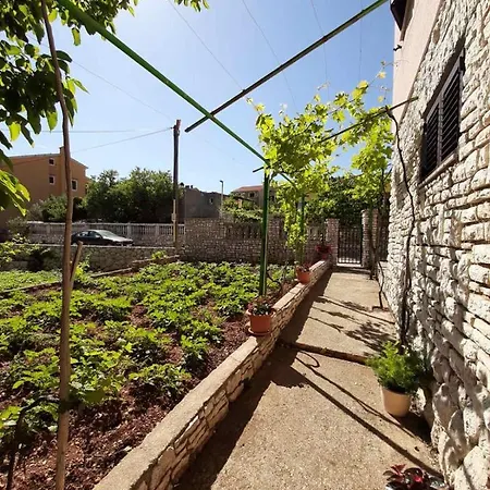 Apartments Renato Muzic Cres * Cres