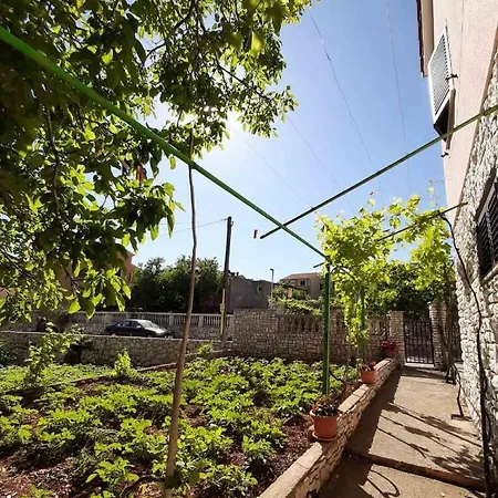 Apartments Renato Muzic Cres Apartment Cres